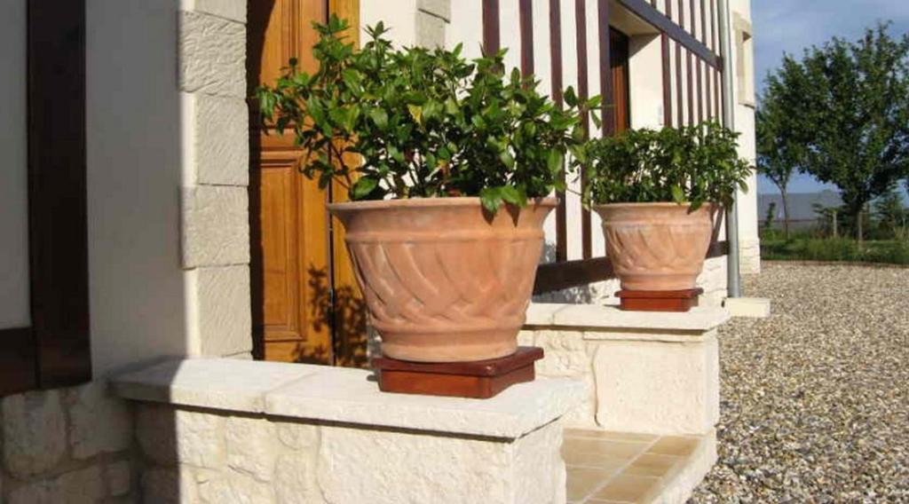 Bed and Breakfast Le Mont D'Auge Canapville  Экстерьер фото