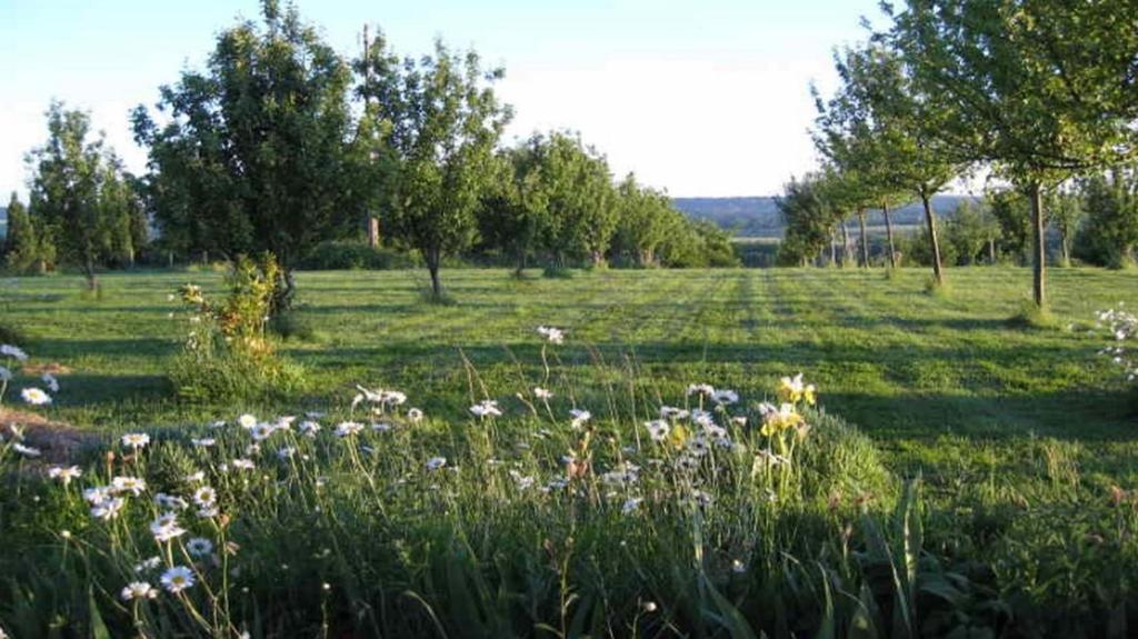 Bed and Breakfast Le Mont D'Auge Canapville  Экстерьер фото