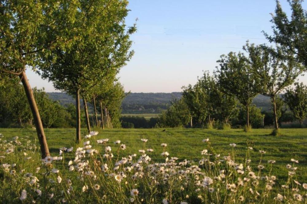 Bed and Breakfast Le Mont D'Auge Canapville  Экстерьер фото